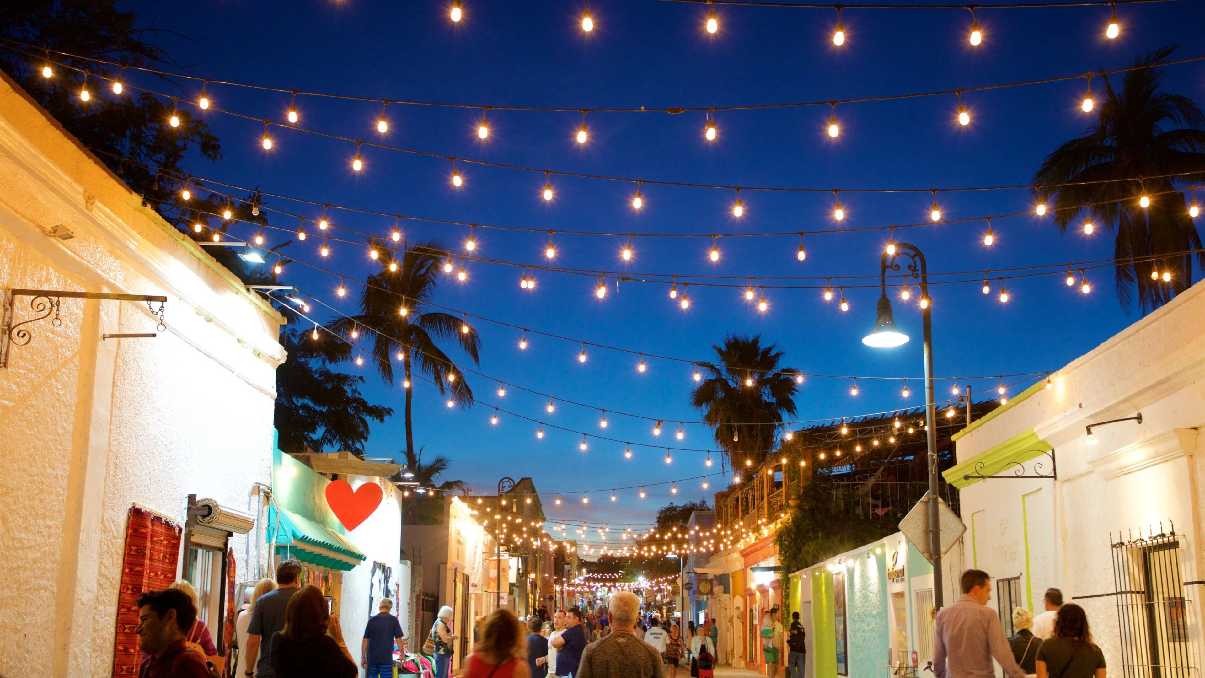 San José del Cabo at night