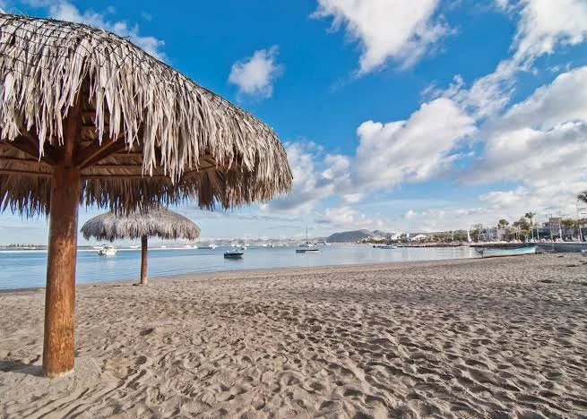 La Paz malecón palm trees — Sea of Cortez